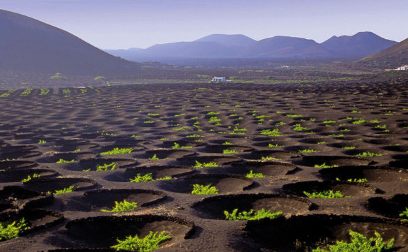 lanzarote-geria